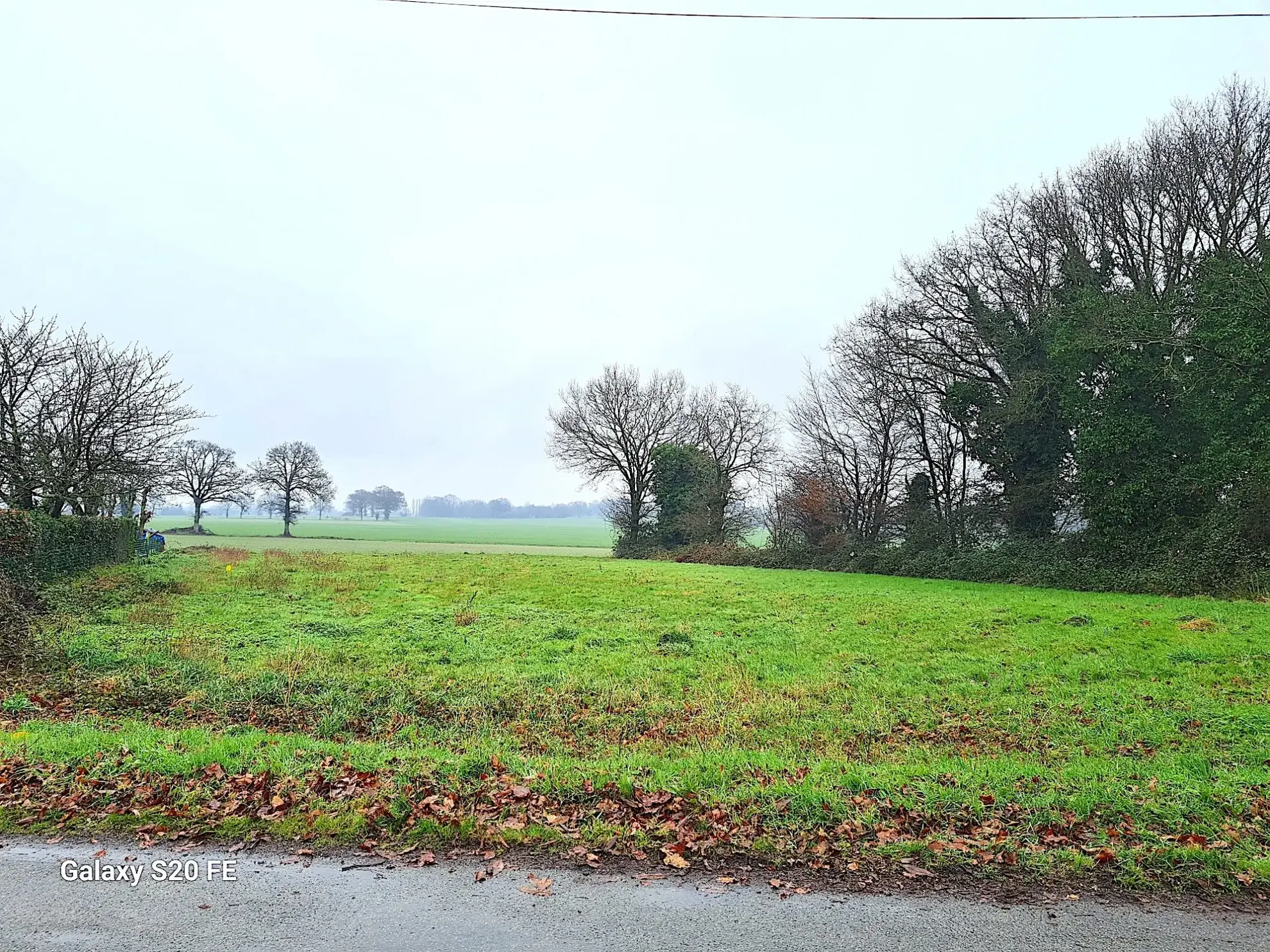 Terrain constructible à Louvigné de Bais - Libre de constructeur et idéal pour votre projet immobilier 