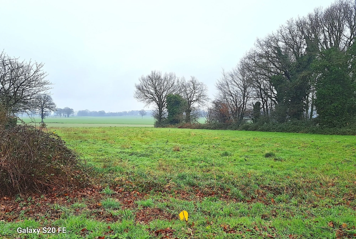 Terrain constructible à Louvigné de Bais - Libre de constructeur et idéal pour votre projet immobilier 