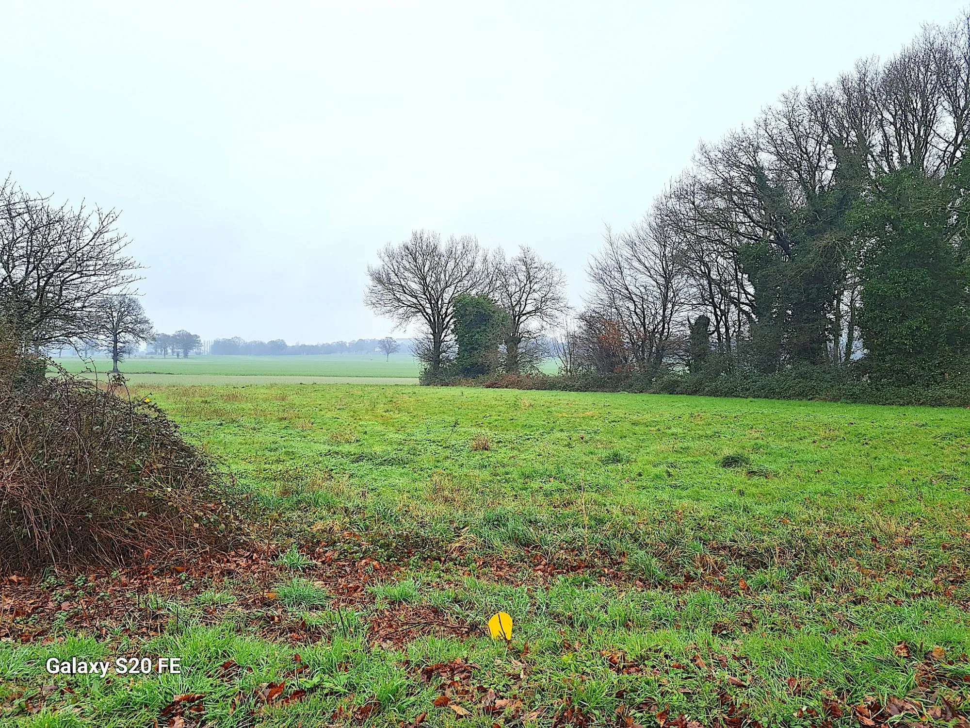 Terrain constructible à Louvigné de Bais - Libre de constructeur et idéal pour votre projet immobilier 