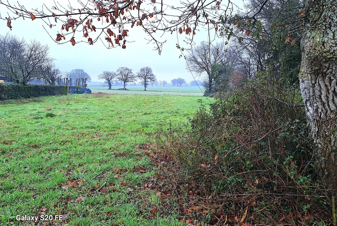 Terrain constructible à Louvigné de Bais - Libre de constructeur et idéal pour votre projet immobilier 