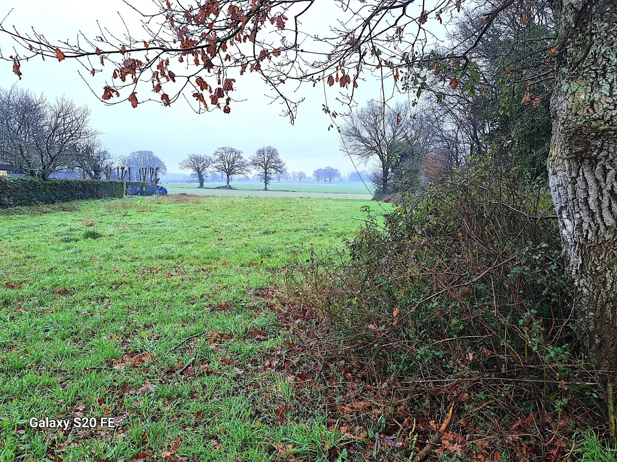 Terrain constructible à Louvigné de Bais - Libre de constructeur et idéal pour votre projet immobilier 