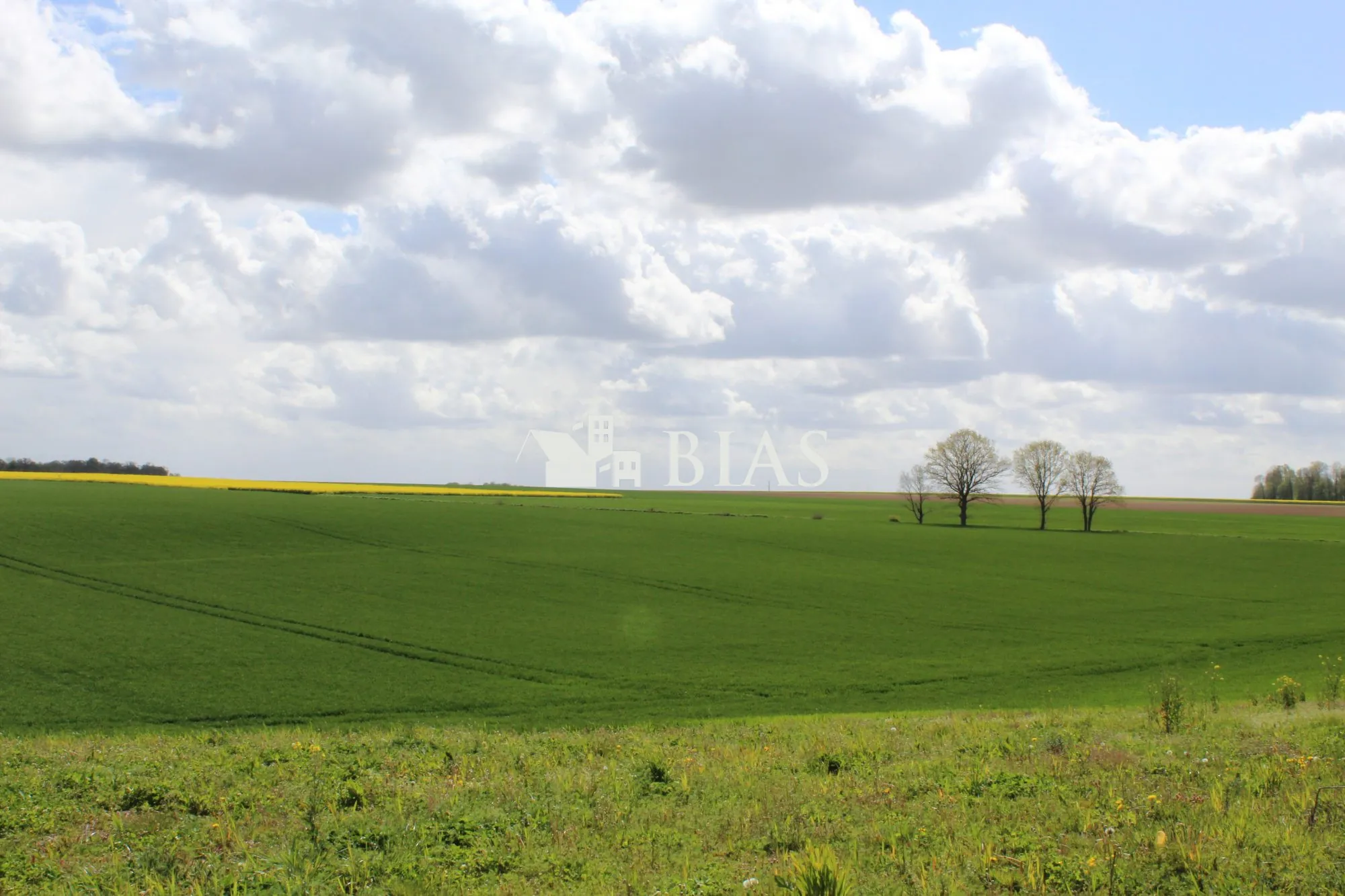 Terrain constructible divisible de 2532 m² à Saint Aubin d'Écrosville 