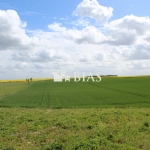 Terrain constructible divisible de 2532 m² à Saint Aubin d'Écrosville