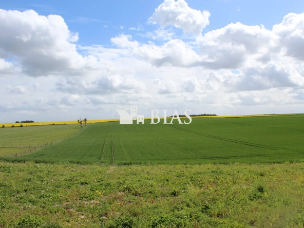 Terrain constructible divisible de 2532 m² à Saint Aubin d'Écrosville