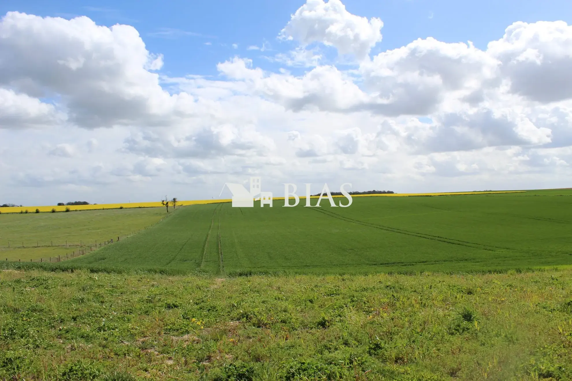 Terrain constructible divisible de 2532 m² à Saint Aubin d'Écrosville 