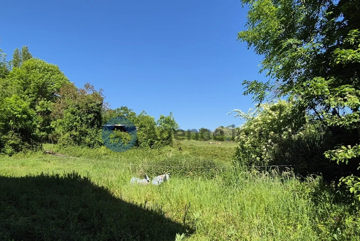 Maison de maître à vendre à Navarrenx avec grand terrain et potentiel de rénovation 