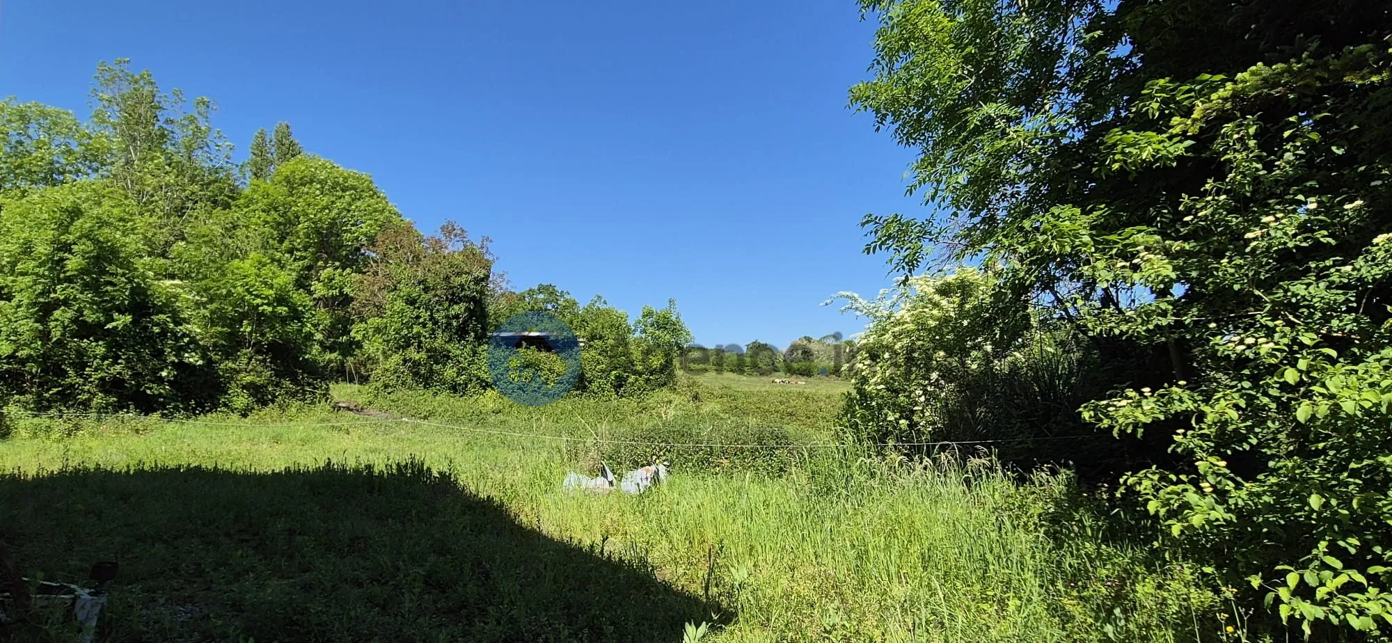 Maison de maître à vendre à Navarrenx avec grand terrain et potentiel de rénovation 