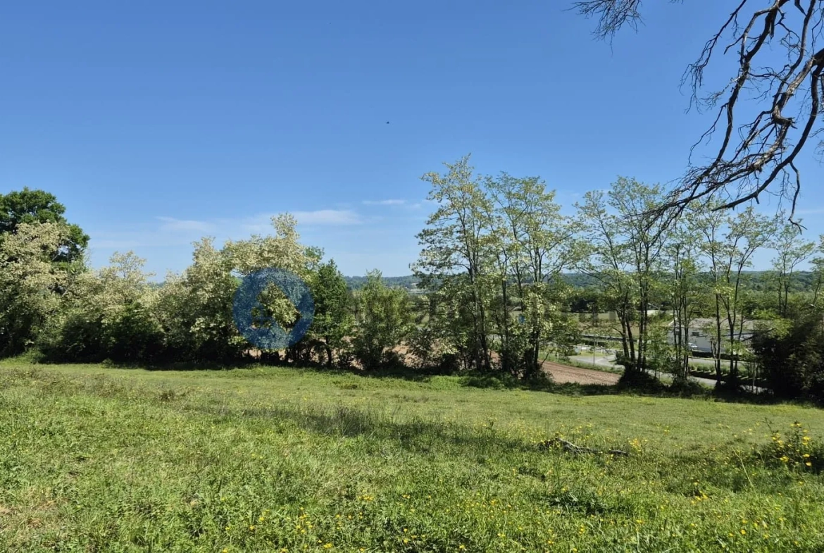 Maison de maître à vendre à Navarrenx avec grand terrain et potentiel de rénovation 