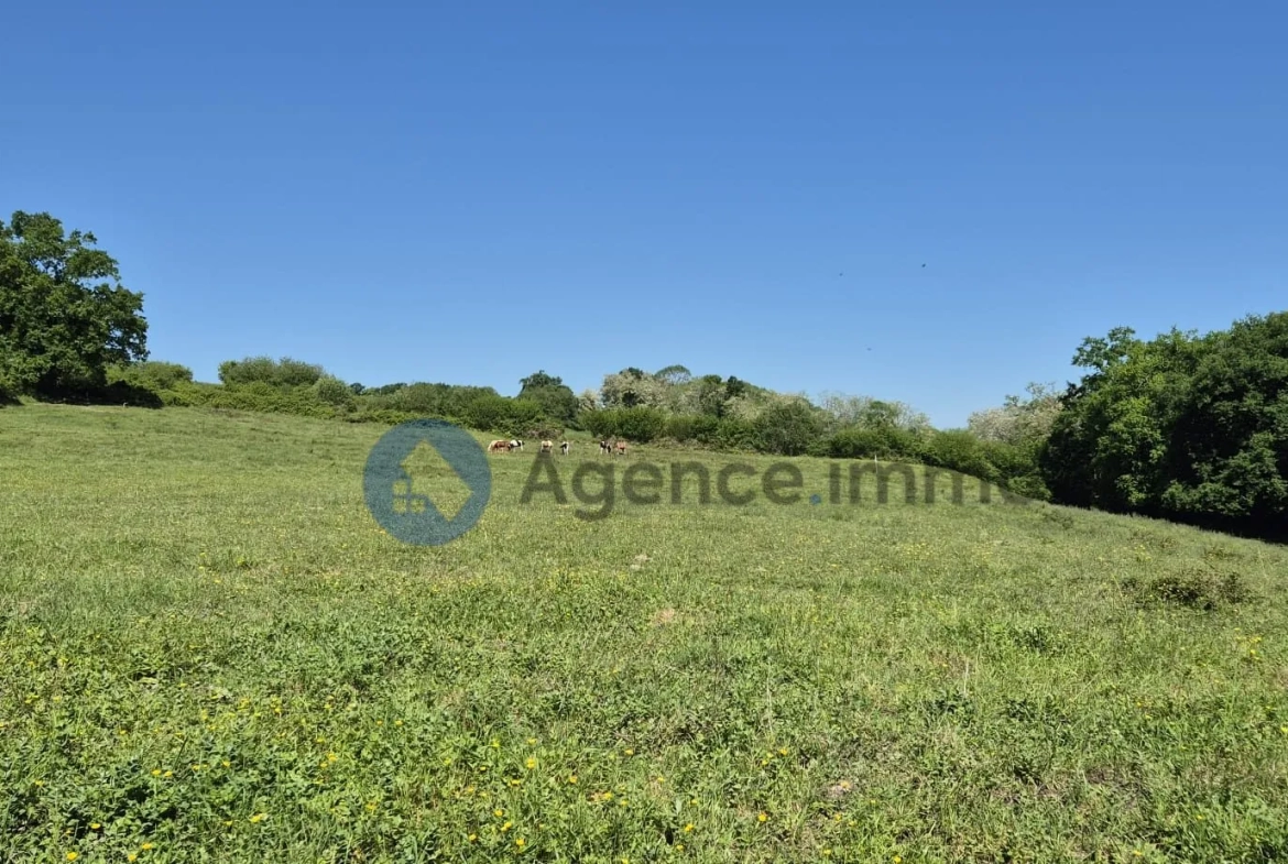 Maison de maître à vendre à Navarrenx avec grand terrain et potentiel de rénovation 