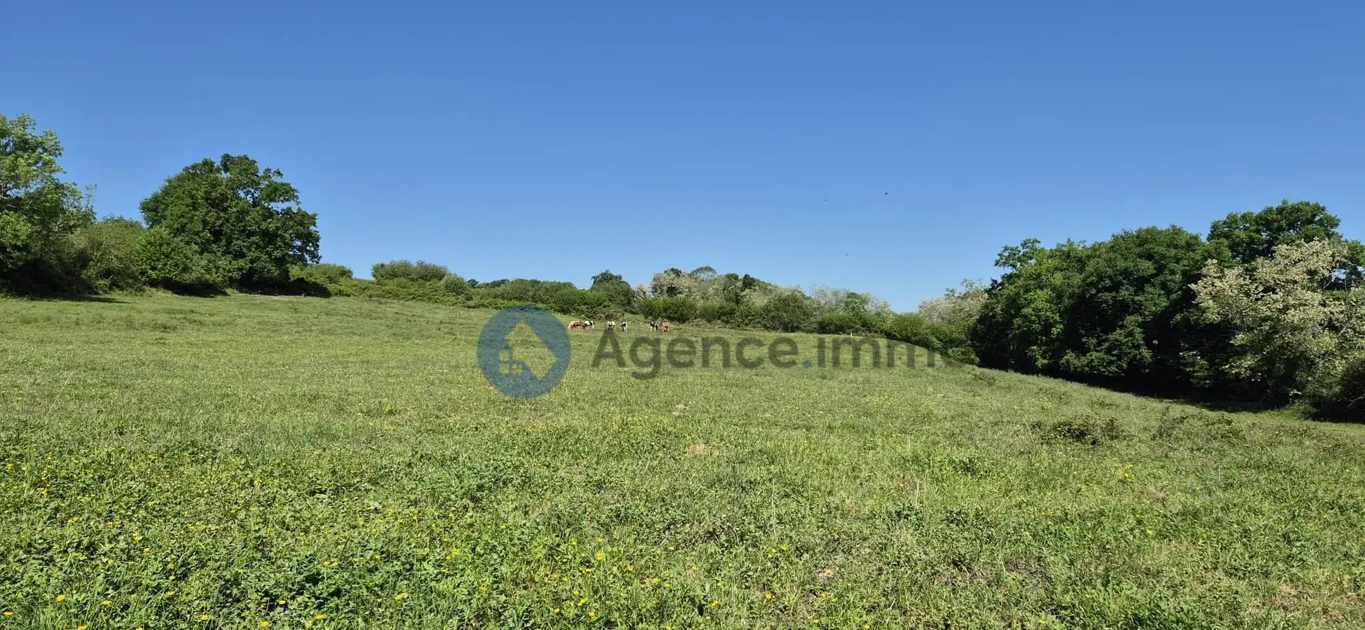 Maison de maître à vendre à Navarrenx avec grand terrain et potentiel de rénovation 