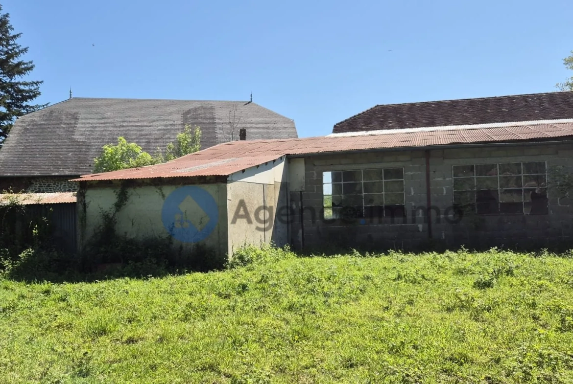 Maison de maître à vendre à Navarrenx avec grand terrain et potentiel de rénovation 