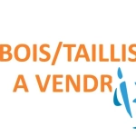 Terrain boisé de 4520 m² à vendre à Prepotin - Tourouvre-au-Perche