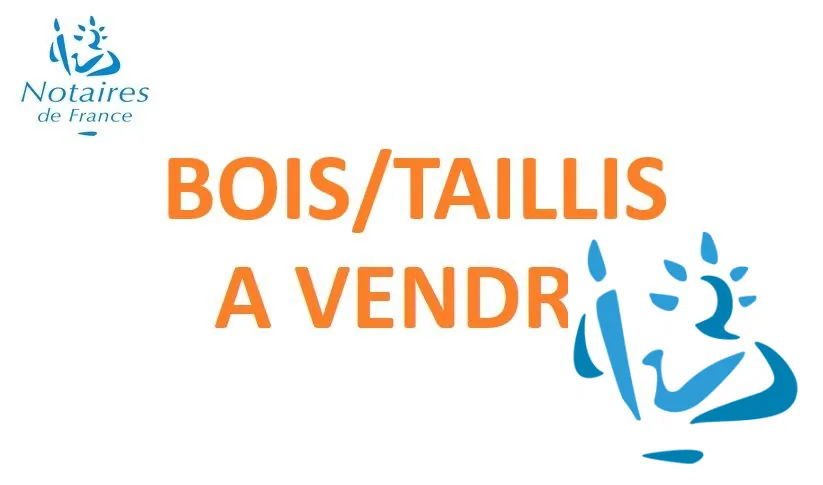 Terrain boisé de 4520 m² à vendre à Prepotin - Tourouvre-au-Perche 