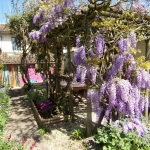 Maison en pierre à Chef-Boutonne proche centre avec jardin et dépendances