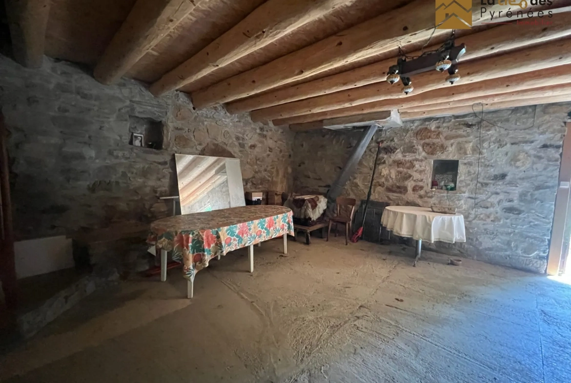 Grange foraine à restaurer avec potentiel dans les Pyrénées 