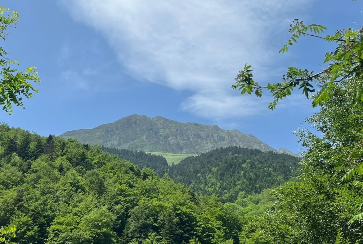 Grange foraine à restaurer avec potentiel dans les Pyrénées 