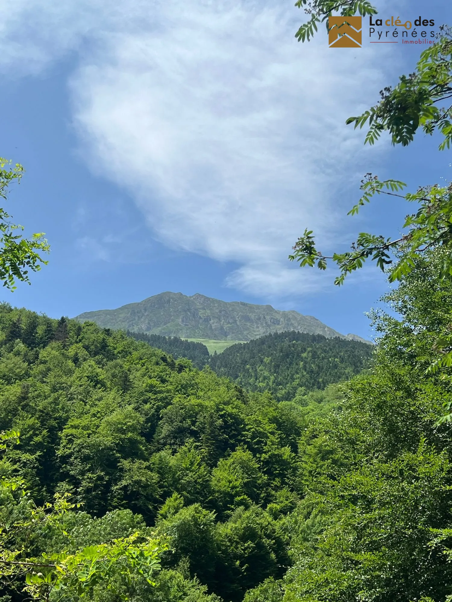 Grange foraine à restaurer avec potentiel dans les Pyrénées 