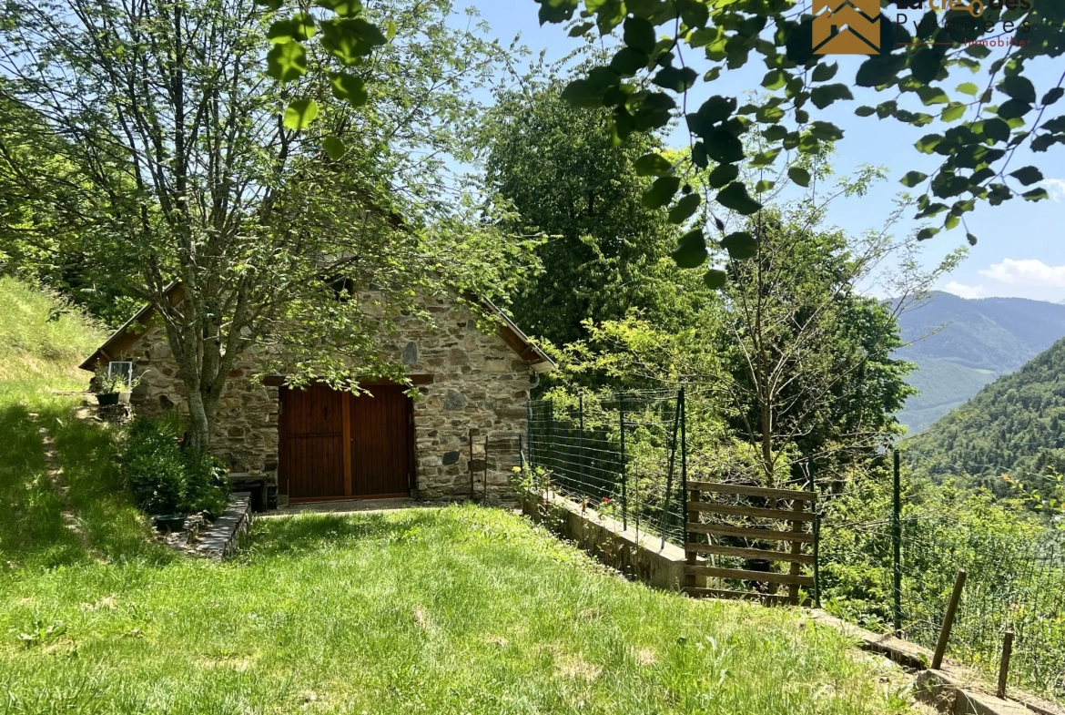 Grange foraine à restaurer avec potentiel dans les Pyrénées 