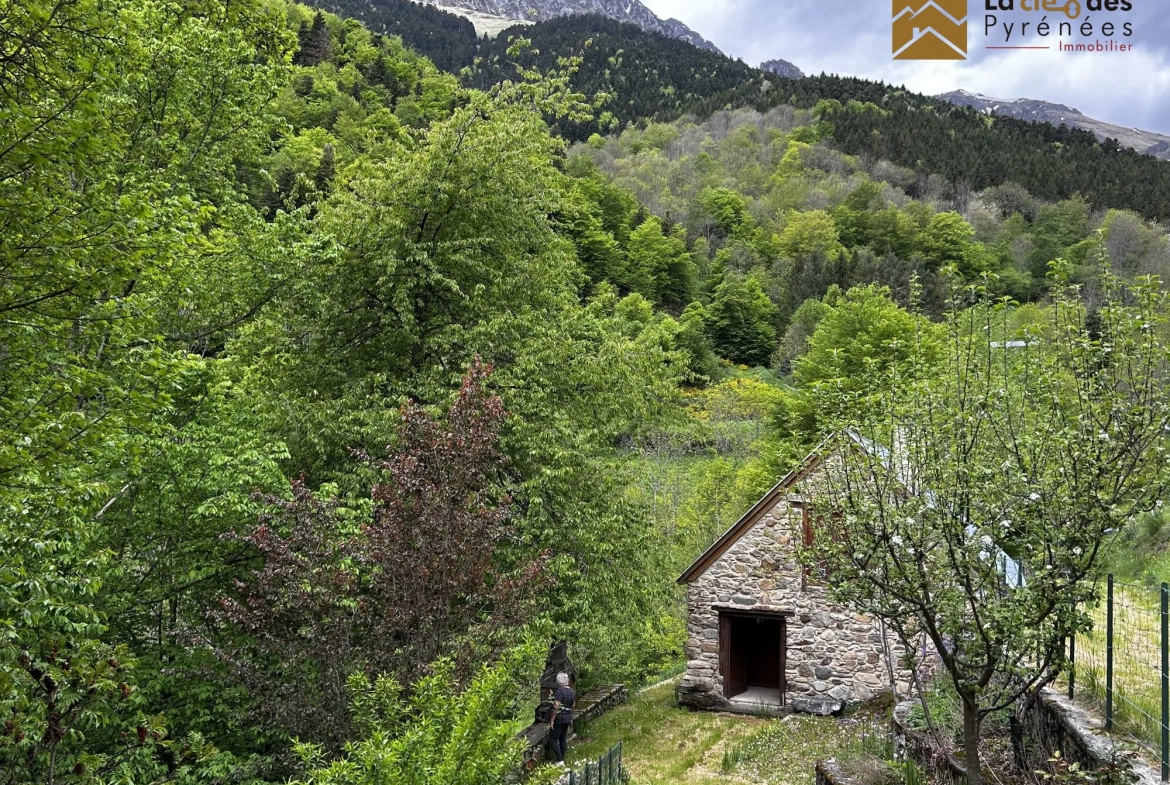Grange foraine à restaurer avec potentiel dans les Pyrénées 