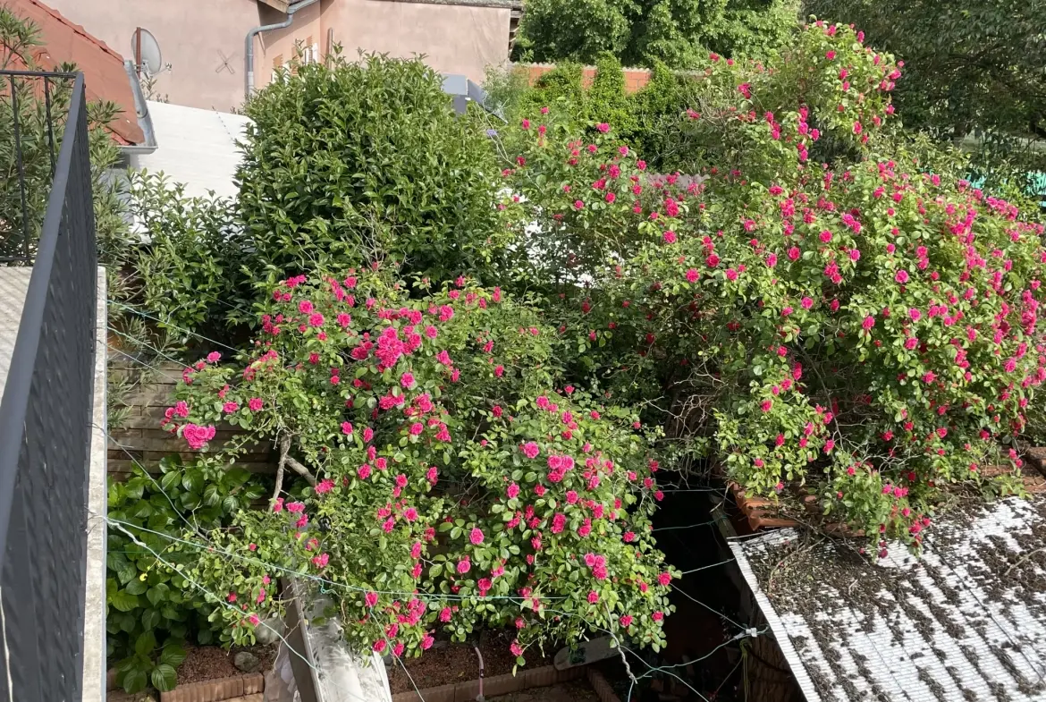 Bellissima maison de 140 m² avec jardin à Montauban, secteur Pouty 