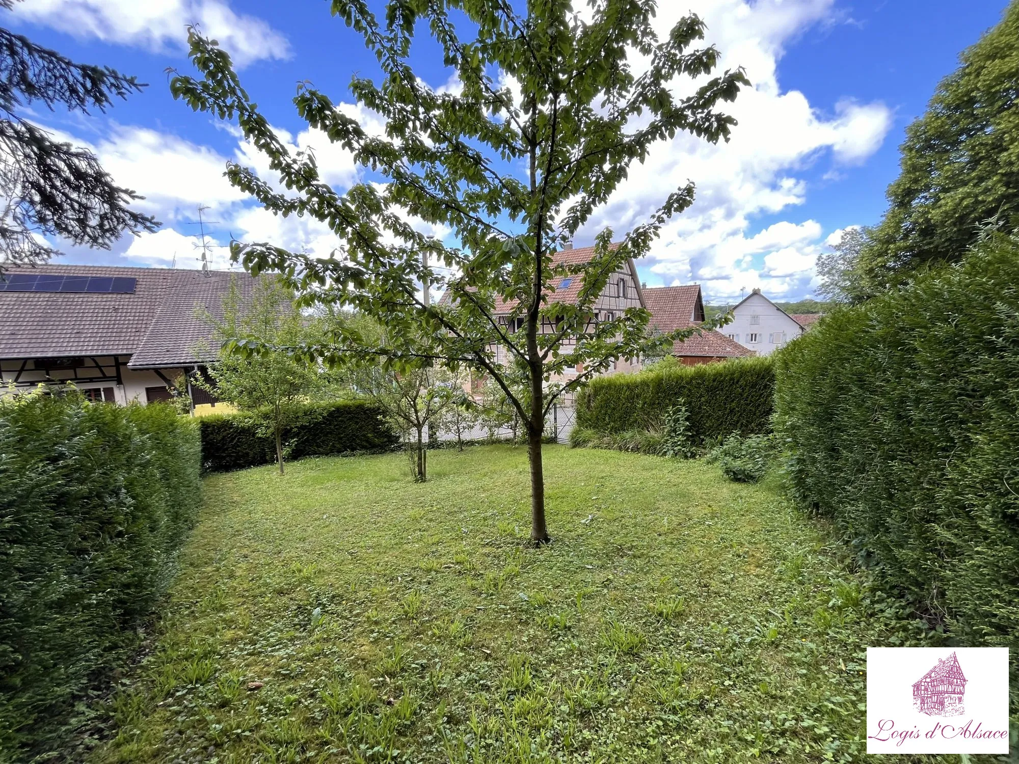 Charmante maison alsacienne avec jardin et potentiel à Rieispach 