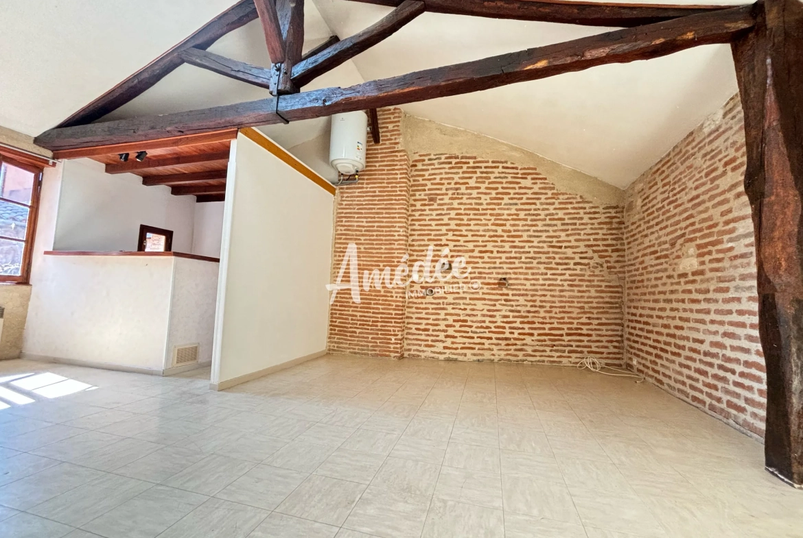 Appartement 2 pièces à vendre au centre-ville d'Albi avec charme et confort 