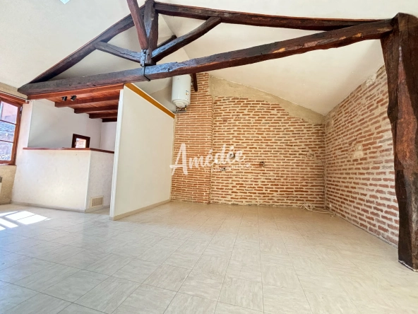 Appartement 2 pièces à vendre au centre-ville d'Albi avec charme et confort