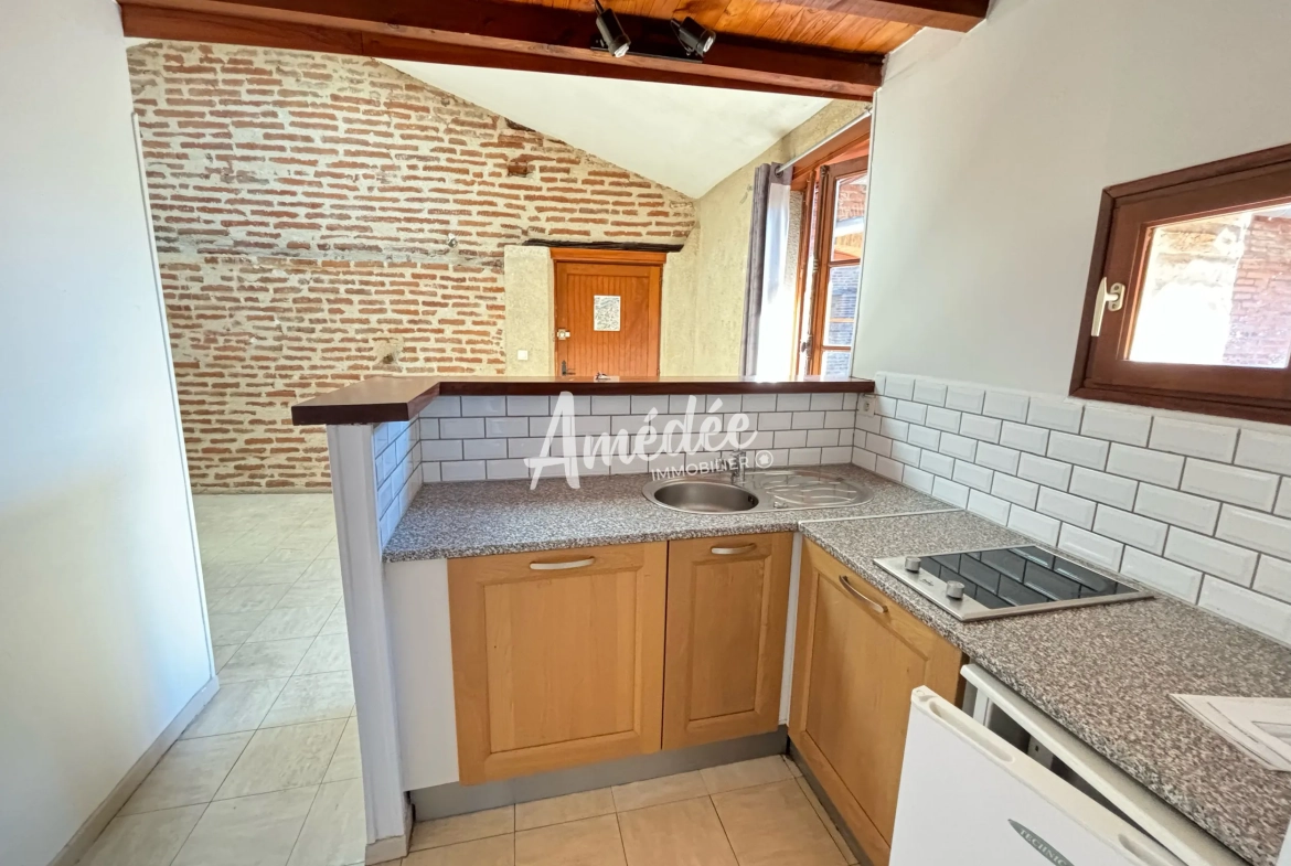 Appartement 2 pièces à vendre au centre-ville d'Albi avec charme et confort 