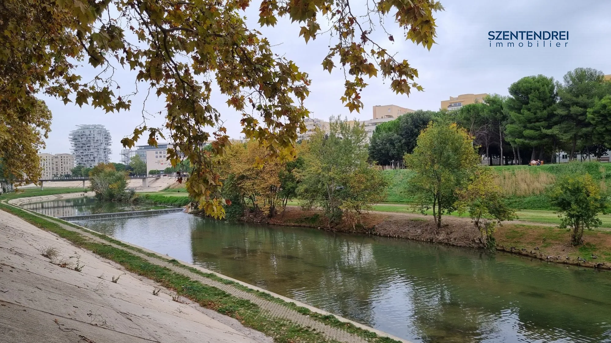 Appartement à vendre Montpellier Szentendrei immobilier Appartement 2 pièces à Montpellier Port Marianne – Investissement sécurisé 