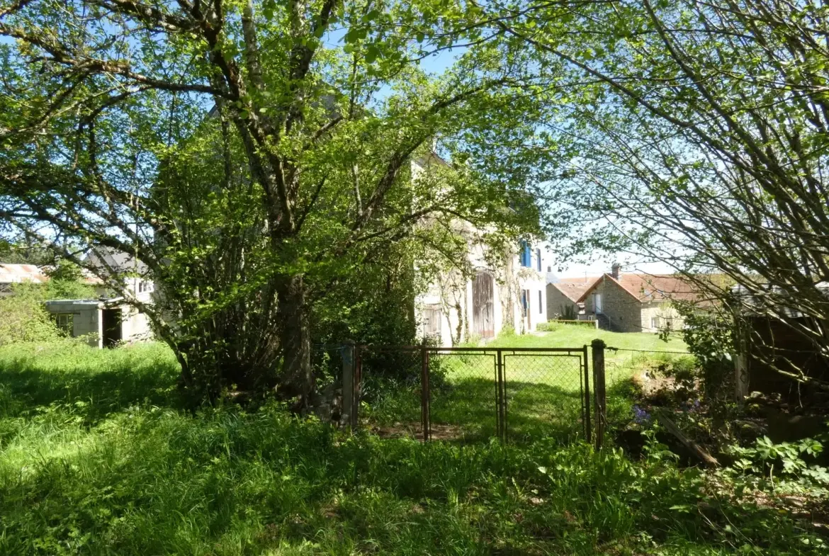 Maison en pierre à Jarnages de 123m² avec jardin et grange attenante 