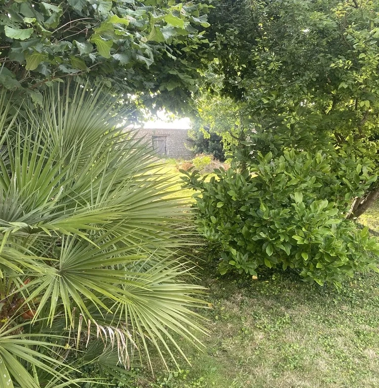 Maison ancienne rénovée avec jardin et garage à Évry – Idéalement située en campagne 
