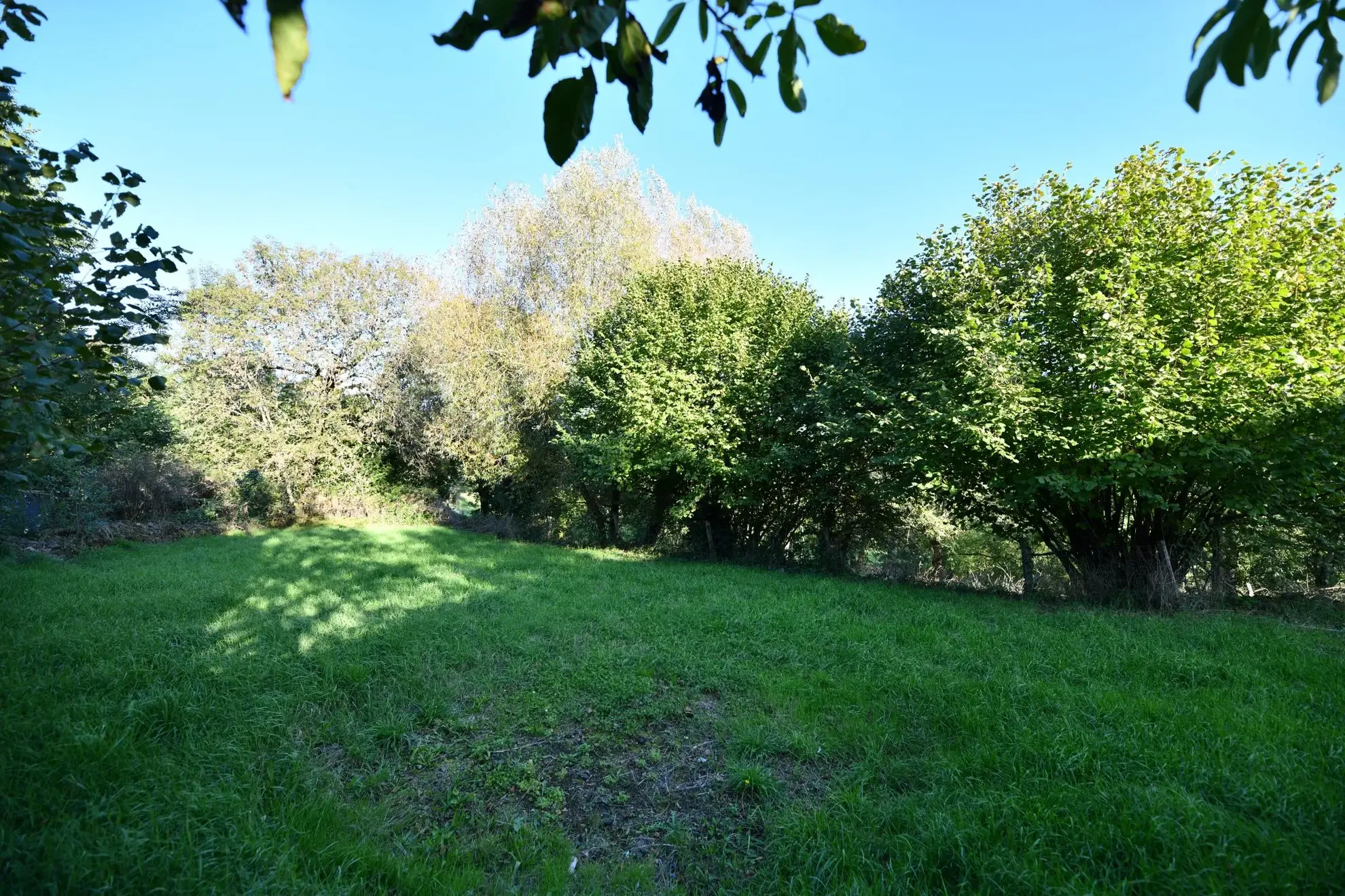 Maison 4 chambres rénovée à Pleaux - 105 m² avec jardin 