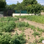 Terrain constructible à Nîmes Saint-Césaire - Opportunité à saisir