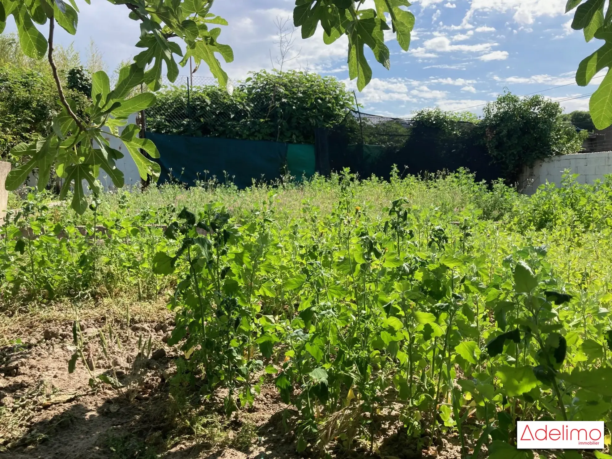 Terrain constructible à Nîmes Saint-Césaire - Opportunité à saisir 