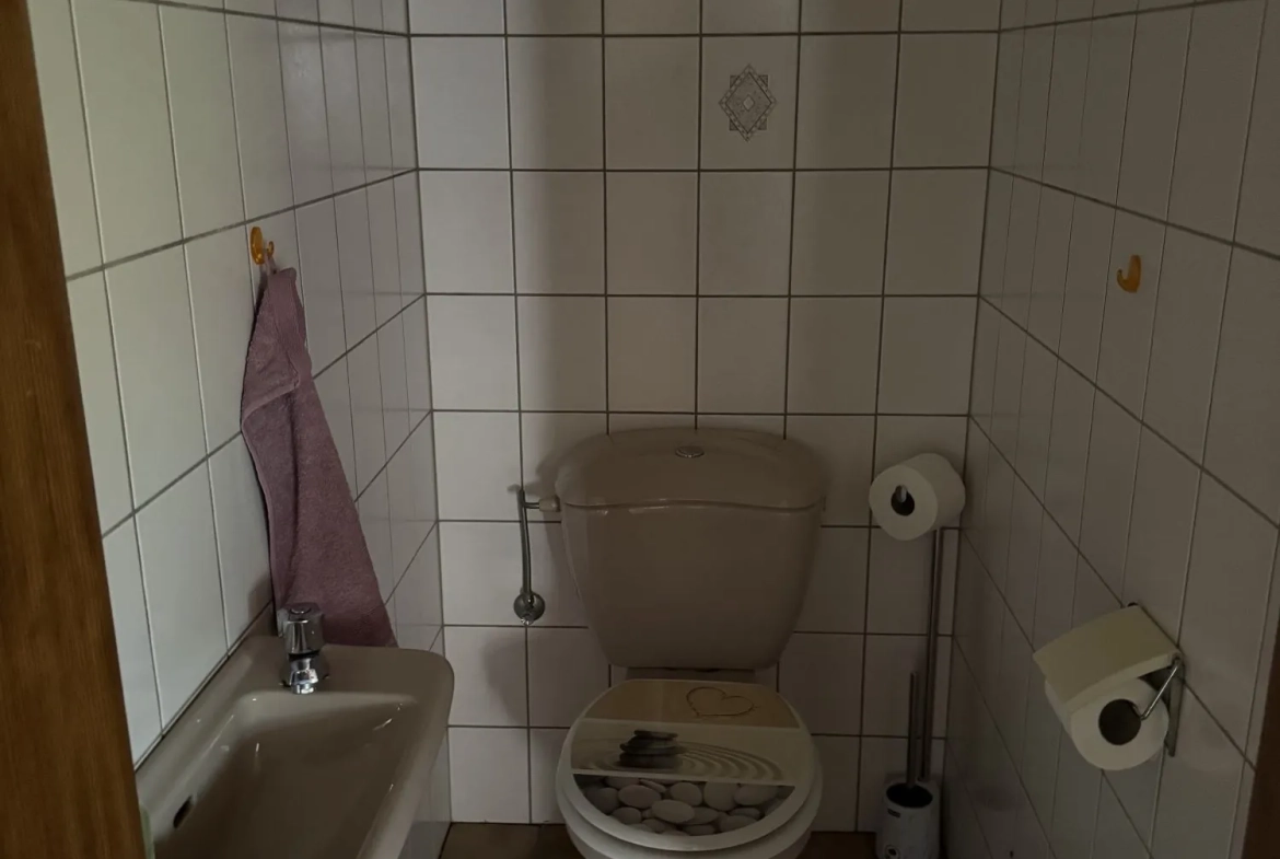 WC rdc Maison mitoyenne alsacienne à Hermerswiller de 88 m² avec garage et cheminée 