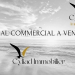 Local commercial à vendre à Saint-Malo Intra-Muros – Opportunité exceptionnelle
