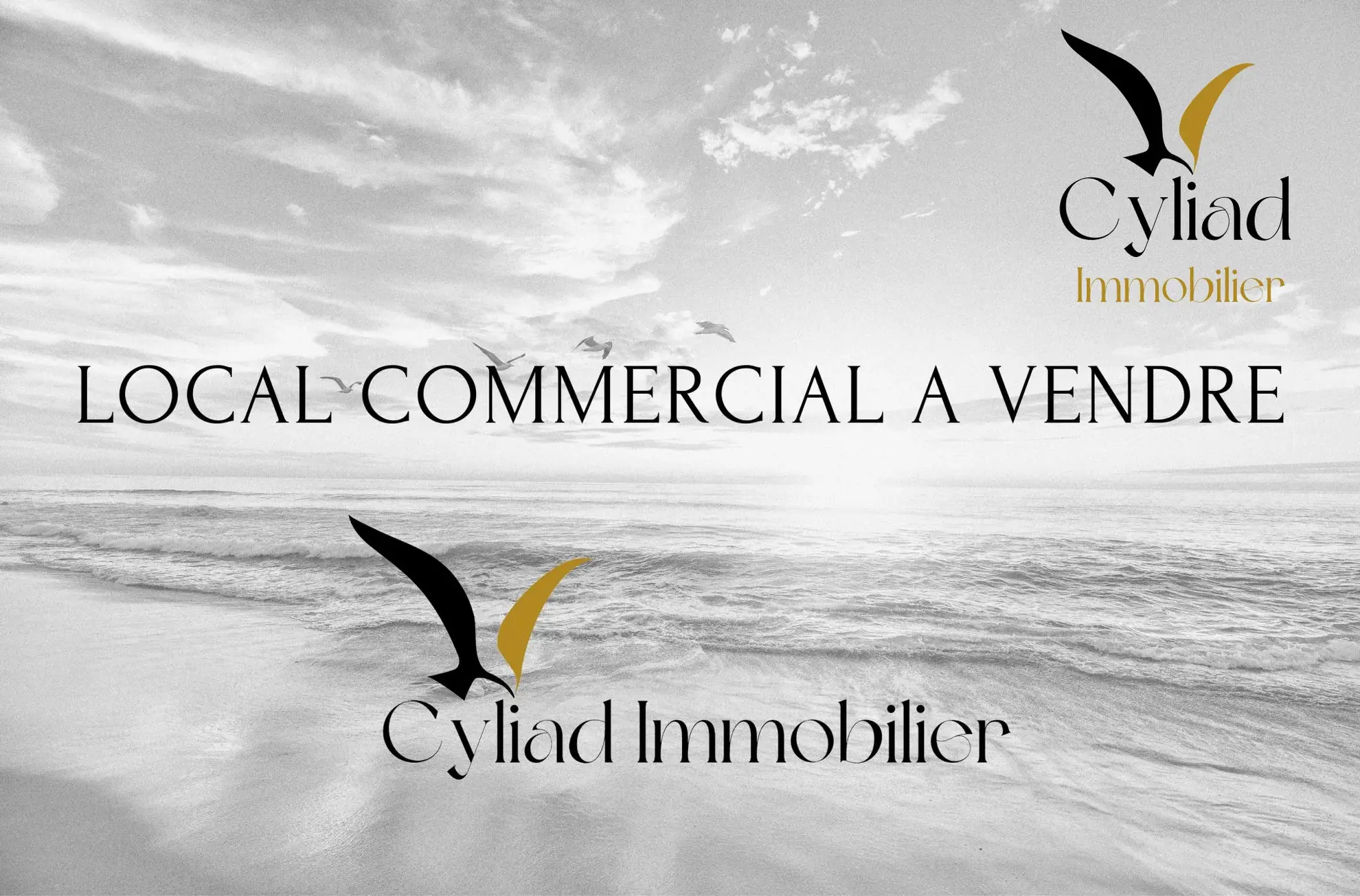 Local commercial à vendre à Saint-Malo Intra-Muros – Opportunité exceptionnelle 