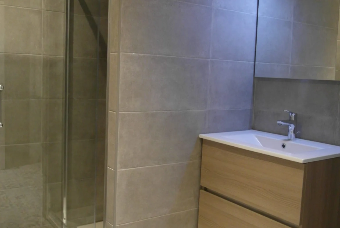 Appartement 2 pièces rénové dans le centre de Marseille - investissement locatif ou résidence 