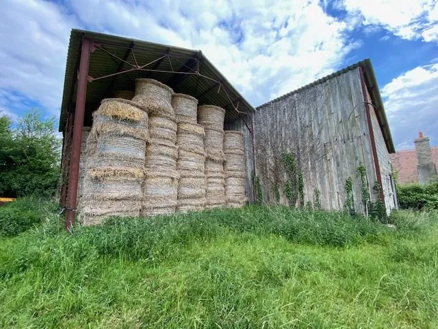 Ancien corps de ferme à rénover avec dépendances et terrain à Oisseau-le-Petit 