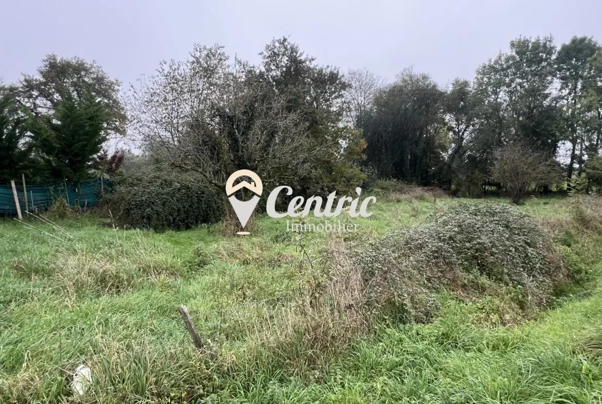 Maison de Bourg en Pierre avec Terrain à Neuvy-Bouin - Opportunité à 70 000 € 