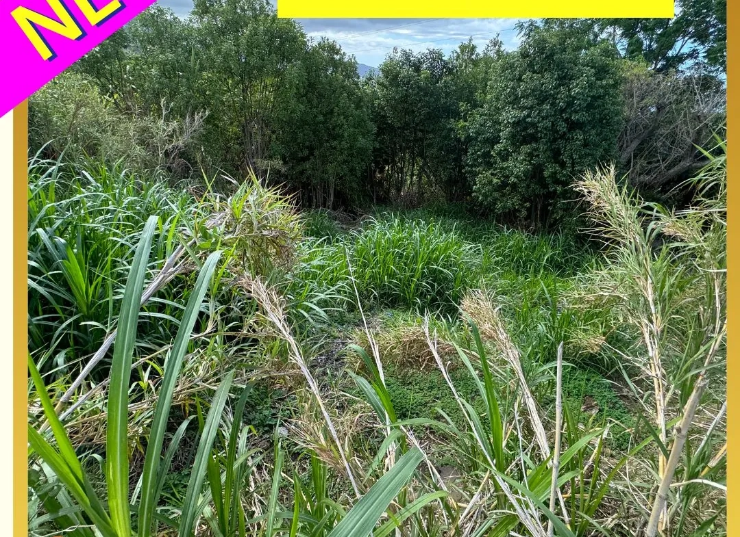Terrain constructible de 370 m² à Sainte-Marie avec vue panoramique sur mer et montagnes 