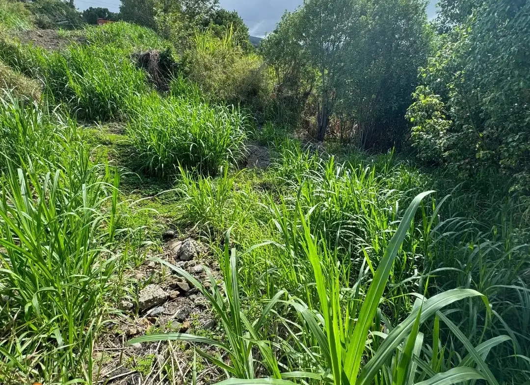 Terrain constructible de 370 m² à Sainte-Marie avec vue panoramique sur mer et montagnes 