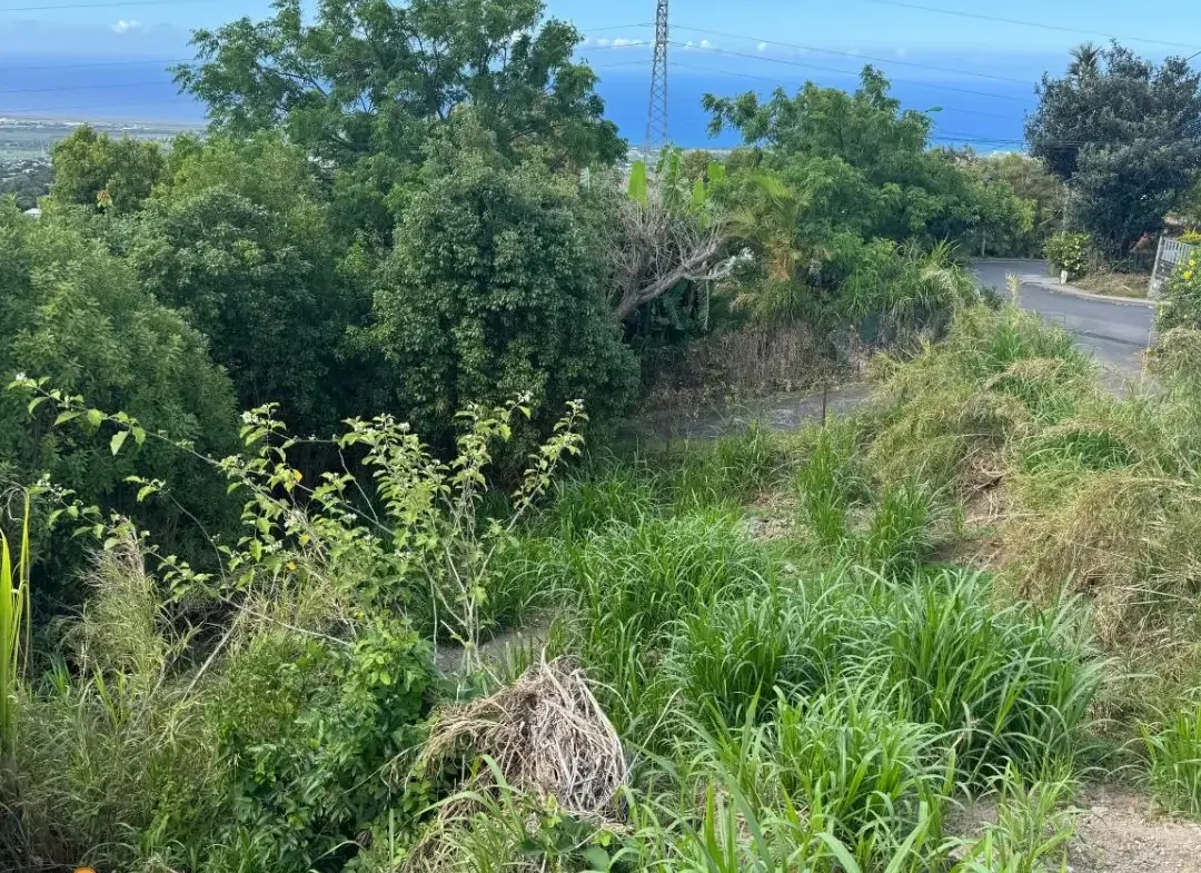 Terrain constructible de 370 m² à Sainte-Marie avec vue panoramique sur mer et montagnes 