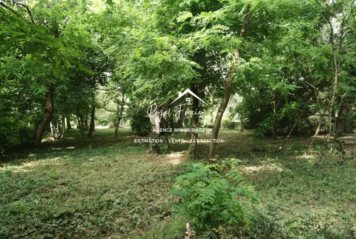 Terrain 9100 M2 boisé  Maison ancienne de 45 m² à Châtellerault avec grand terrain, idéal pour vivre au calme 