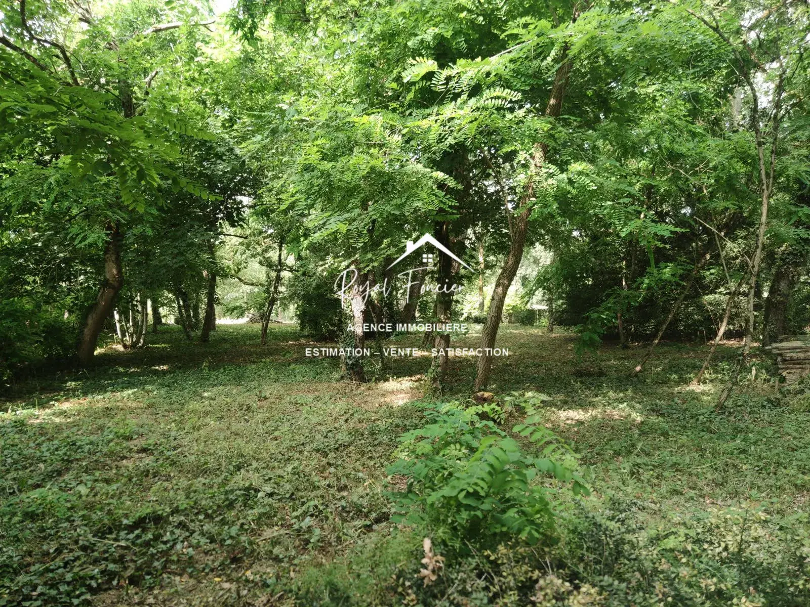 Terrain 9100 M2 boisé  Maison ancienne de 45 m² à Châtellerault avec grand terrain, idéal pour vivre au calme 