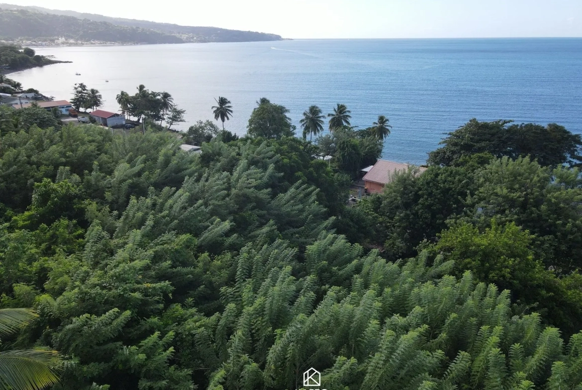 Terrain Lima à Saint-Pierre, 1500 m² - Idéal pour projet immobilier en Martinique 