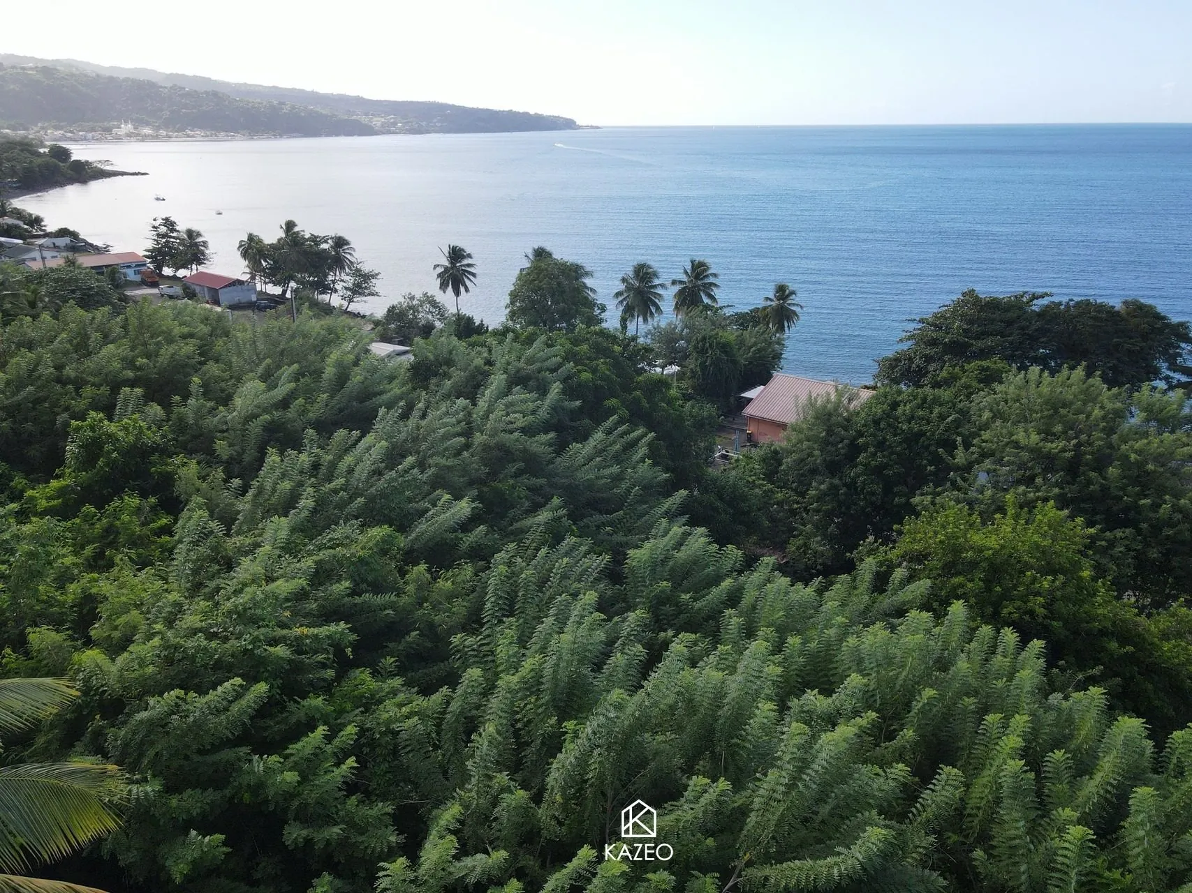 Terrain Lima à Saint-Pierre, 1500 m² - Idéal pour projet immobilier en Martinique 