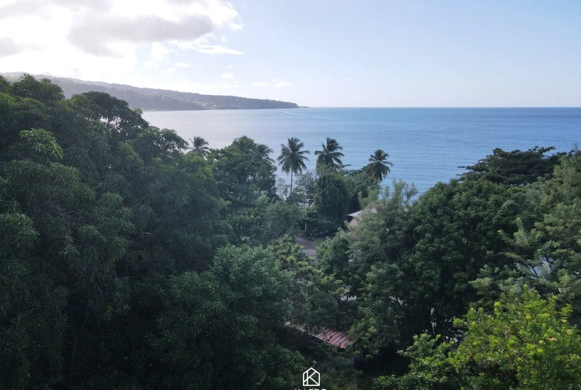 Terrain Lima à Saint-Pierre, 1500 m² - Idéal pour projet immobilier en Martinique 