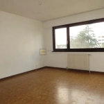 Studio à Gaillard de 25,97 m² avec cave, parking et locataire en place