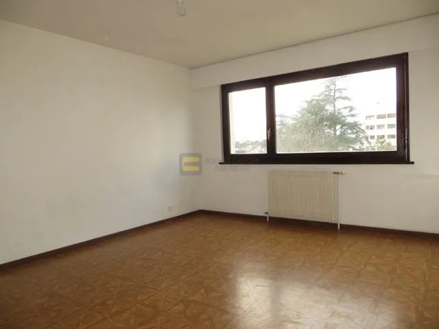 Studio à Gaillard de 25,97 m² avec cave, parking et locataire en place 
